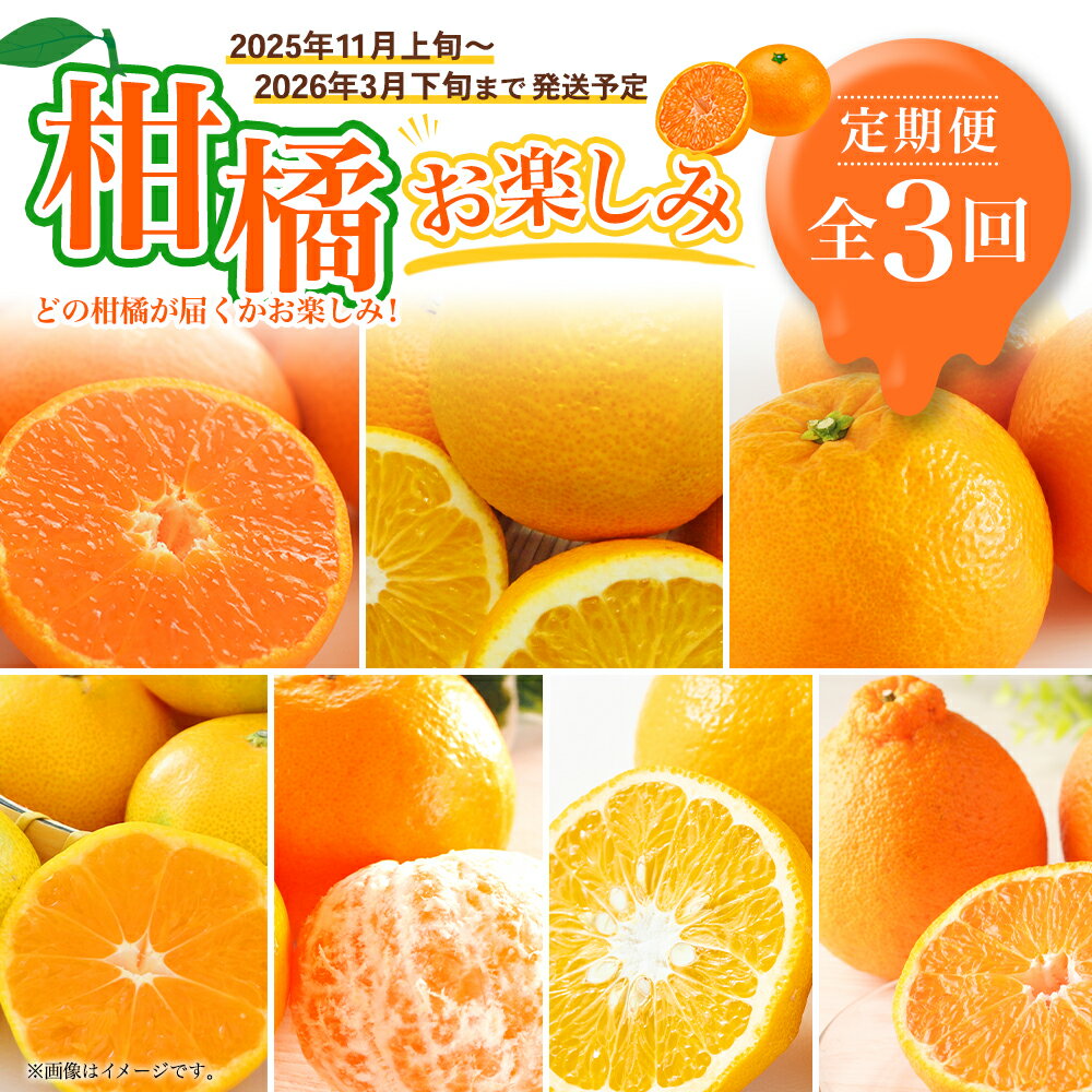 【ふるさと納税】【全3回定期便】春冬限定 柑橘お楽しみ定期便 みかん ポンカン 不知火等 早生みかん 中生みかん 甘夏 八朔 伊予柑 蜜柑 果物 フルーツ 青果 旬 お取り寄せ 国産 長崎 定期便 送料無料【2025年11月上旬～2026年3月下旬に発送予定】