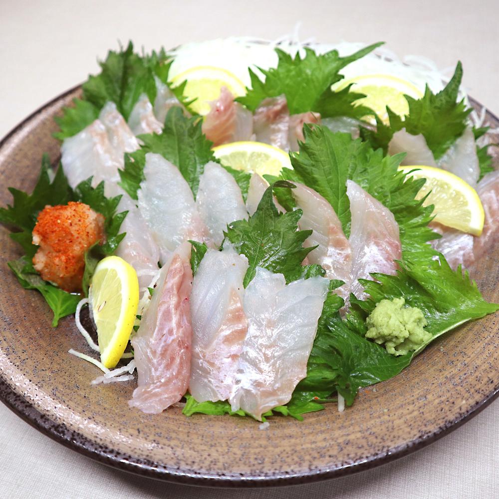 【ふるさと納税】長崎の森で育てた『幻のクエ』【ハーフセット】 刺身/鍋用 各2〜3人前 1kg～2kg前後 頭・骨付き 高級魚 魚介類 くえ 海産物 くえ鍋 冷蔵 長崎県 長崎市 送料無料