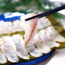 【ふるさと納税】長崎の森で育てた『幻のクエ』昆布〆 刺身用 5~6人前 1kg~2kg前後 頭・骨付き 高級魚 魚介類 くえ 海産物 冷蔵 長崎県 長崎市 送料無料