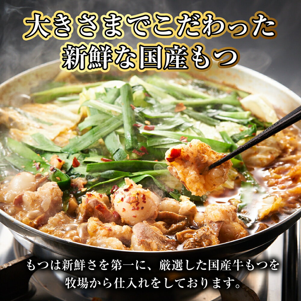 【ふるさと納税】【20営業日以内発送】【もつ鍋+炎のもつ鍋】国産牛 長崎 もつ鍋セット（醤油味+辛みそ付醤油味） 細麺付 各2~3人前 和牛 牛肉 お肉 モツ ホルモンミックス 小腸・牛すじ ハチノス センマイ 豚骨 濃縮スープ 冷凍 長崎市 送料無料