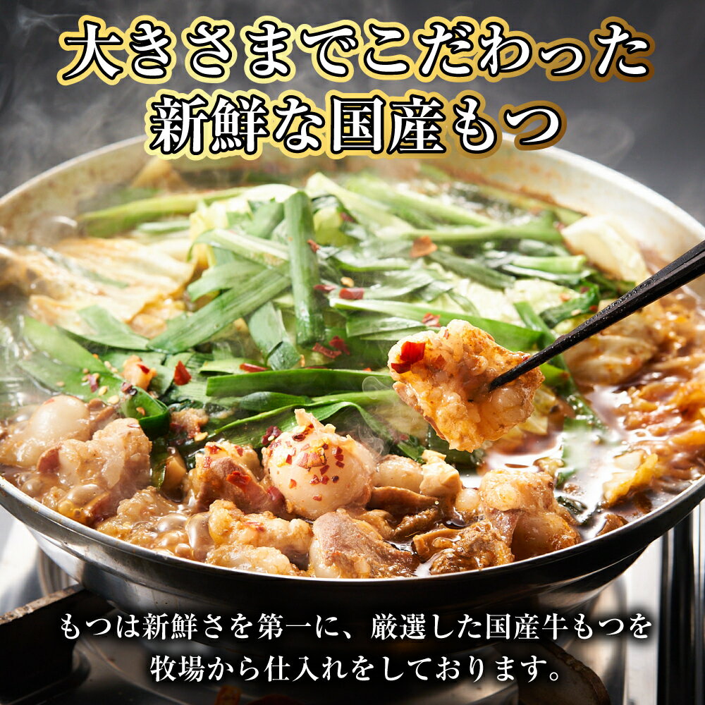 【ふるさと納税】【全3回定期便】【もつ鍋+炎のもつ鍋】国産牛 長崎 もつ鍋 セット （醤油味+辛みそ付醤油味） 細麺付 各2~3人前 和牛 牛もつ ホルモン 牛 牛肉 モツ 鍋スープ 豚骨 長崎 九州 国産 冷凍 長崎県 長崎市 送料無料