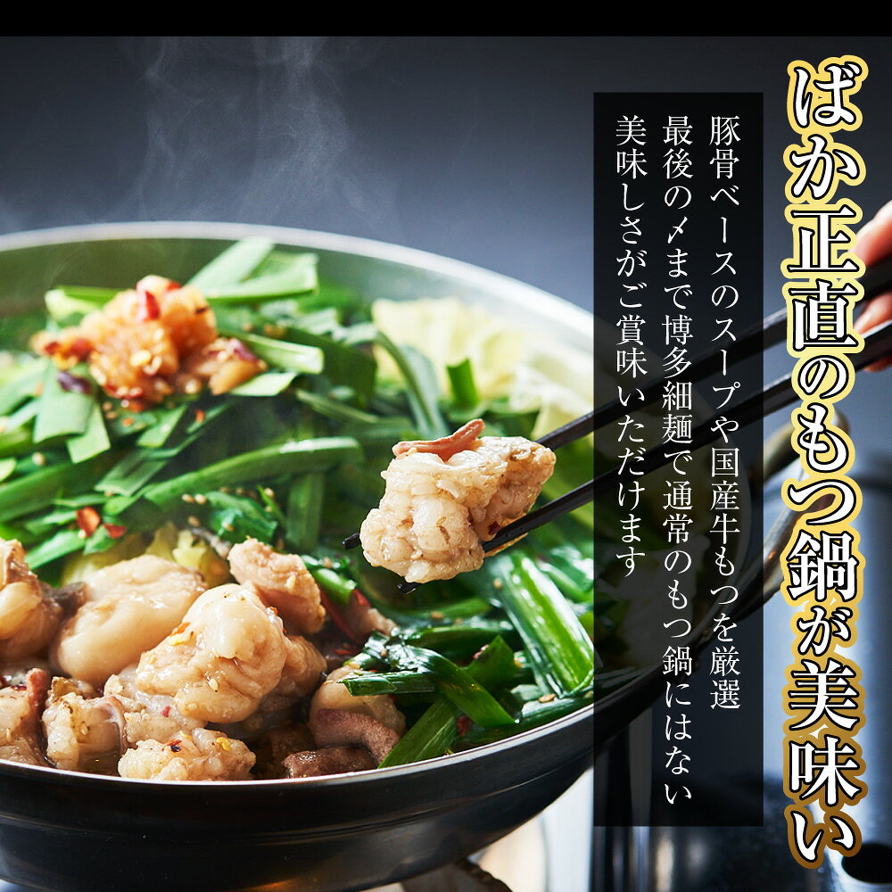 【ふるさと納税】【20営業日以内発送】国産牛 長崎 もつ鍋 セット （醤油味） 細麺付 2~3人前×2セット 合計4~6人前 和牛 モツ ミックス ホルモン スープ 麺 薬味 付 長崎県 長崎市 送料無料