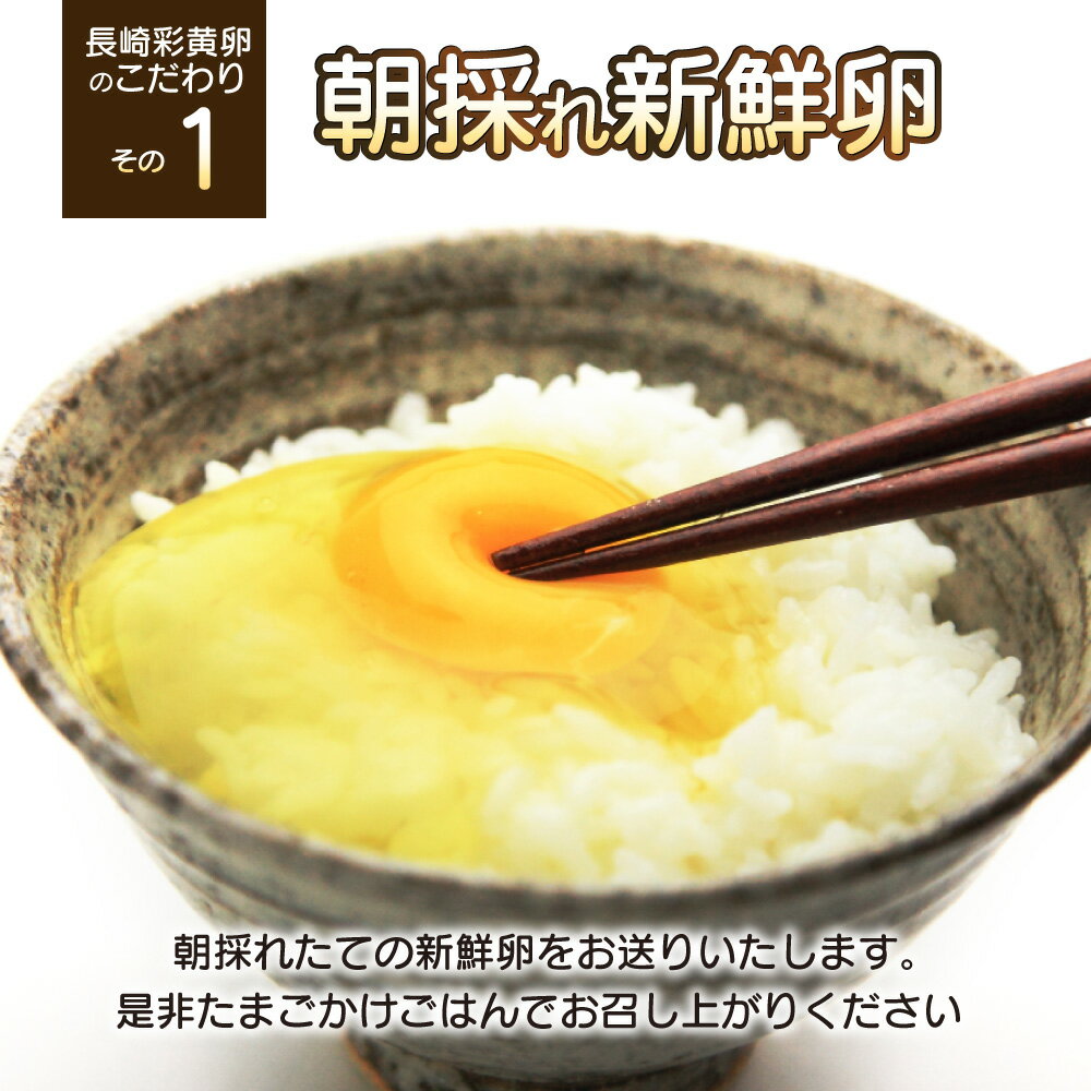 【ふるさと納税】「長崎彩黄卵」 朝採れ玉子 6個入り8パックセット 卵 たまご たまごかけごはん TKG 新鮮 とれたて 朝採れ 純国産鶏 卵セット たまご パック 生卵 送料無料