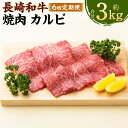 【ふるさと納税】【全6回定期便】長崎和牛 焼肉 カルビ 約500g(2~3人前) 和牛 牛肉 お肉 BBQ バーベキュー 冷凍 長崎県産 国産 九州 長崎県 長...