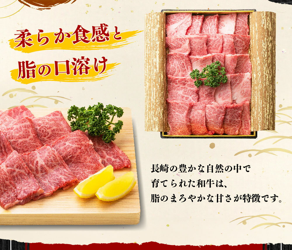 【ふるさと納税】【全12回定期便】長崎和牛 焼肉 カルビ 約500g（2~3人前） 和牛 牛肉 お肉 BBQ バーベキュー ギフト 贈答 お中元 お歳暮 冷凍 長崎県産 国産 九州 長崎県 長崎市 送料無料