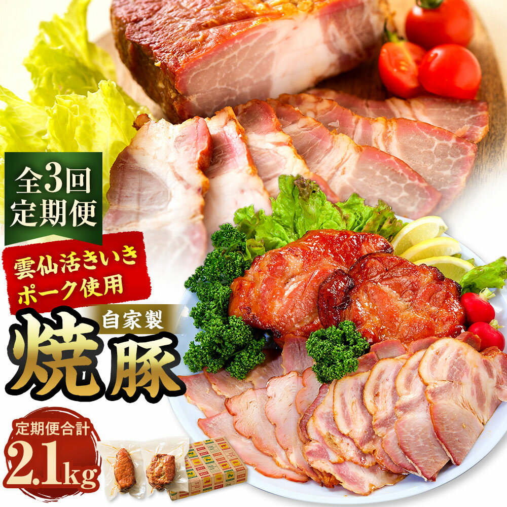 【ふるさと納税】【全3回定期便】自家製焼豚 計700g(350g×2個) セット 化粧箱入り チャーシュー 豚肉 お肉 タレ 醤油 生姜 ニンニク 惣菜 真空パック 冷蔵 長崎県産 国産 九州 長崎県 長崎市 送料無料