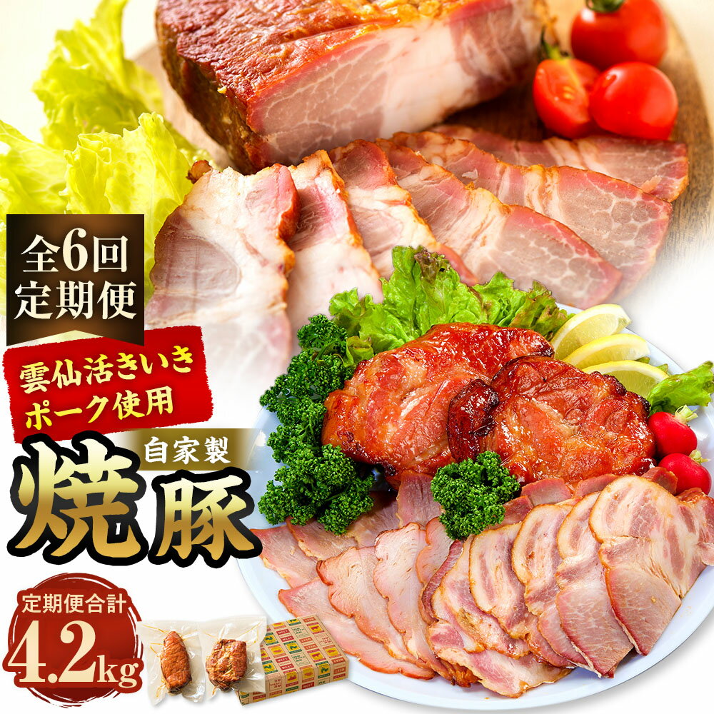 [全6回定期便]自家製焼豚 計700g(350g×2個) セット 化粧箱入り 計4.2kg チャーシュー 豚肉 お肉 タレ 醤油 生姜 ニンニク 惣菜 冷蔵 長崎県産 国産 九州 長崎県 長崎市 送料無料