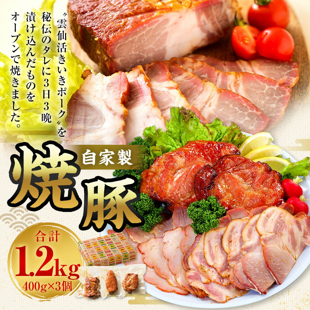 【ふるさと納税】自家製焼豚 セット 計1.2kg（400g×3個） チャーシュー 焼き豚 豚肉 肉 お肉 ポーク タレ 醤油 生姜 ニンニク おかず 惣菜 真空 冷蔵 パック 長崎県産 長崎県 長崎市 送料無料