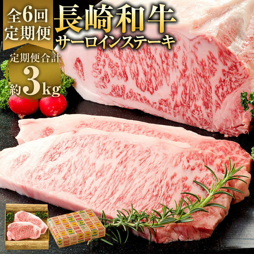 【ふるさと納税】【全6回定期便】長崎和牛サーロインステーキ 計500g(250g×2枚) ステーキソース×2個 和牛 牛肉 お肉 ギフト 贈答 冷凍 長崎県産 国産 九州 長崎県 長崎市 送料無料