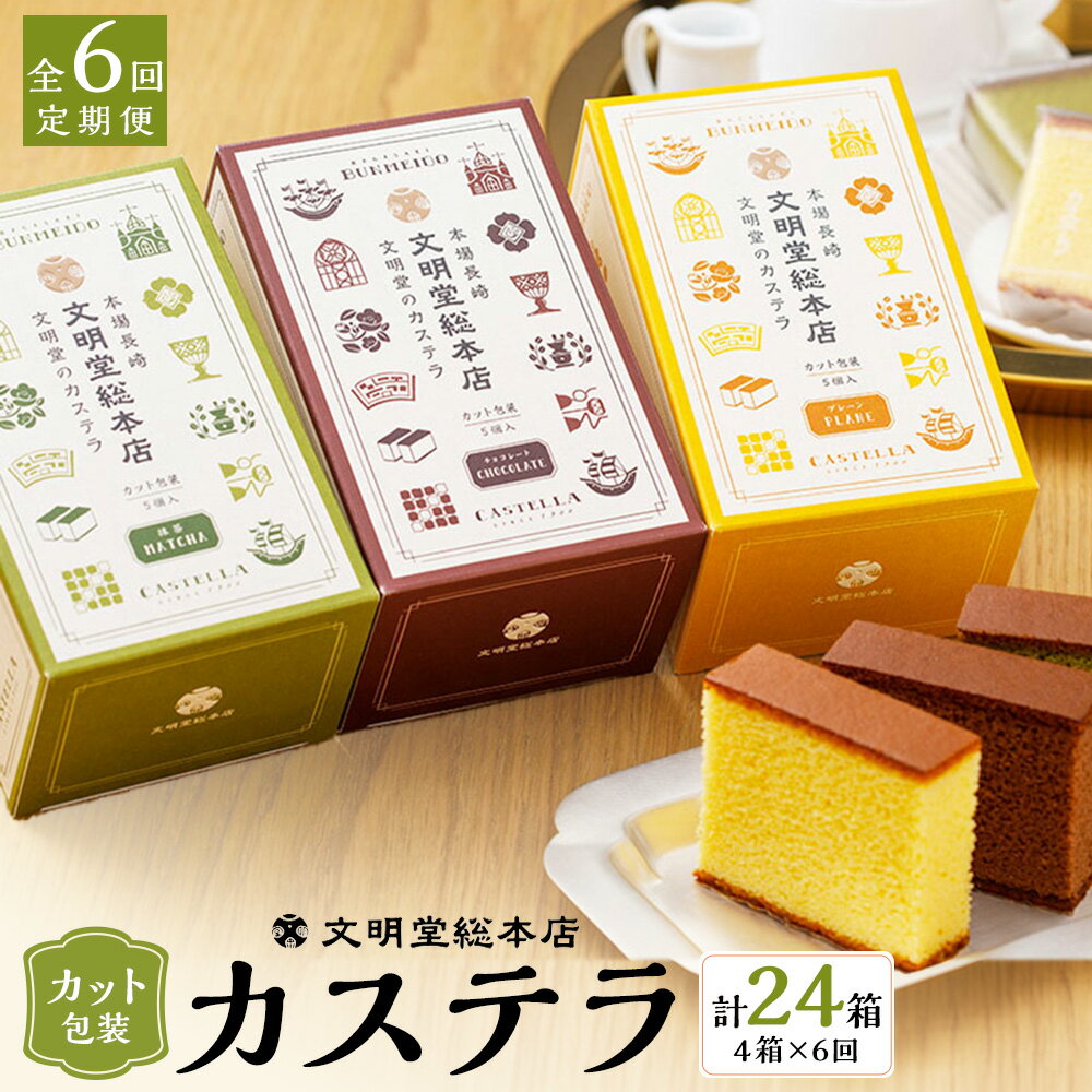 [全6回定期便]カット包装 カステラ 4箱入 計24箱 プレーン 抹茶 チョコレート 各5切入 かすてら スイーツ お菓子 和菓子 おやつ ギフト プレゼント 贈り物 贈答 お土産 長崎県 長崎市 送料無料
