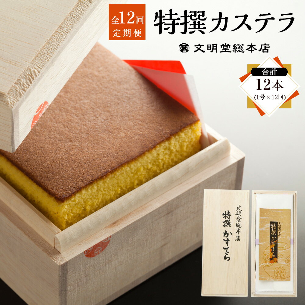 【ふるさと納税】【全12回定期便】特撰カステラ1号 580g ×12回 かすてら 和三盆糖 上白糖 グラニュー糖 ざらめ糖 南蛮卵 スイーツ 和菓子 お菓子 長...