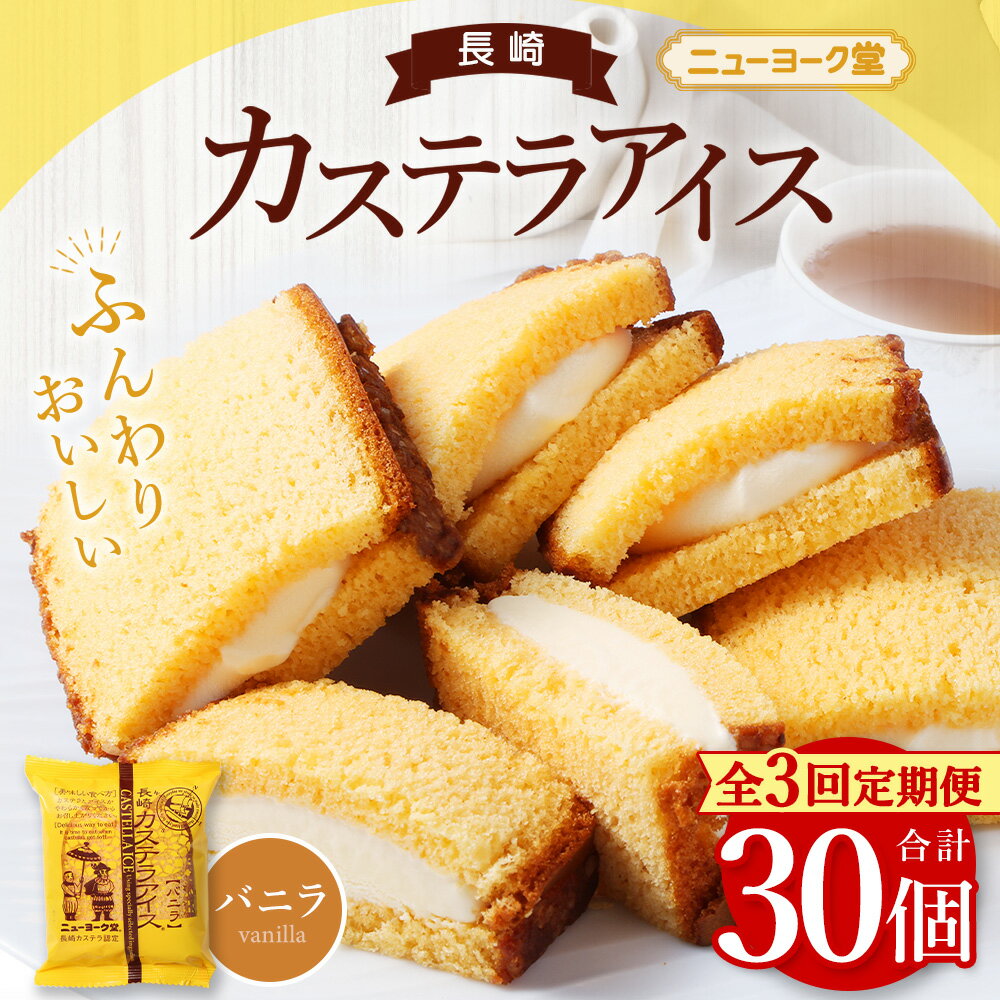 【ふるさと納税】【全3回定期便】長崎カステラアイス(バニラ) 計10個 | ニューヨーク堂 カステラアイス カステラ アイス アイスクリーム スイーツ デザート バニラ お菓子 冷凍 ご当地 お取り寄せ 長崎 長崎県 長崎市送料無料