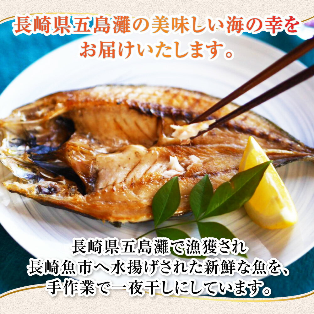 【ふるさと納税】【7営業日以内発送】長崎五島灘一夜干し 合計15枚 干物 セット 詰め合わせ ( 真あじ汐干し 真あじ桜干し 真さば汐干し 真さば桜干し とび魚汐干し れんこ鯛汐干し 赤かます汐干し 真いか一夜干し ) 詰合せ 送料無料