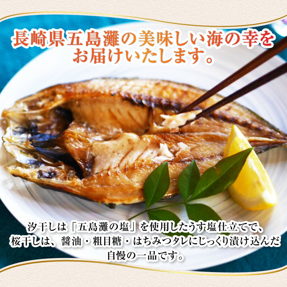 【ふるさと納税】【全3回定期便】長崎五島灘荒波一夜干し 合計17枚 ひもの 干物 長崎市