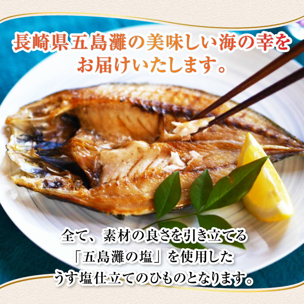 【ふるさと納税】【全3回定期便】長崎五島灘一汐干し 合計12枚 干物 海産物 海鮮 魚介 ひもの 乾物 おかず おつまみ 冷凍 長崎市