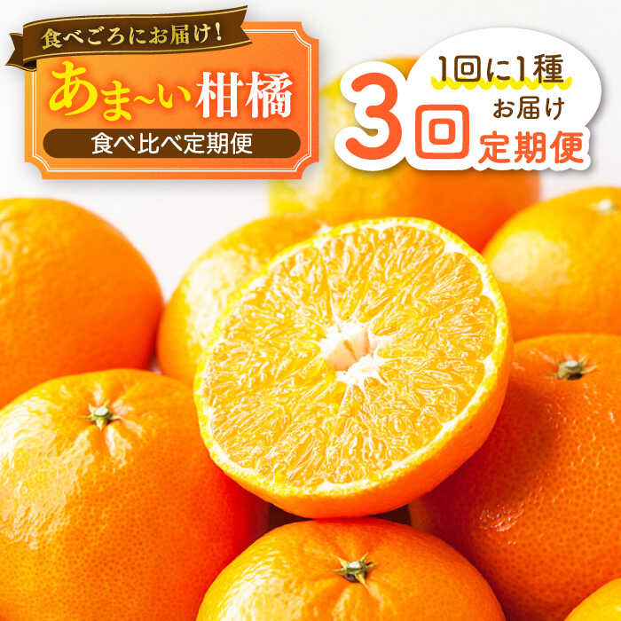 【ふるさと納税】【全3回定期便】柑橘 食べ比べ定期便 みかん