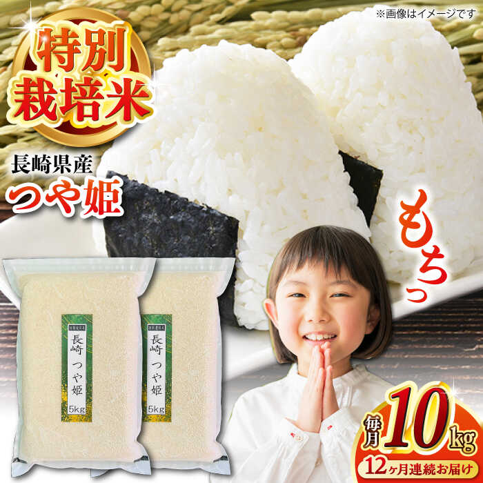 【ふるさと納税】【全12回定期便】【令和5年産】特別栽培米 