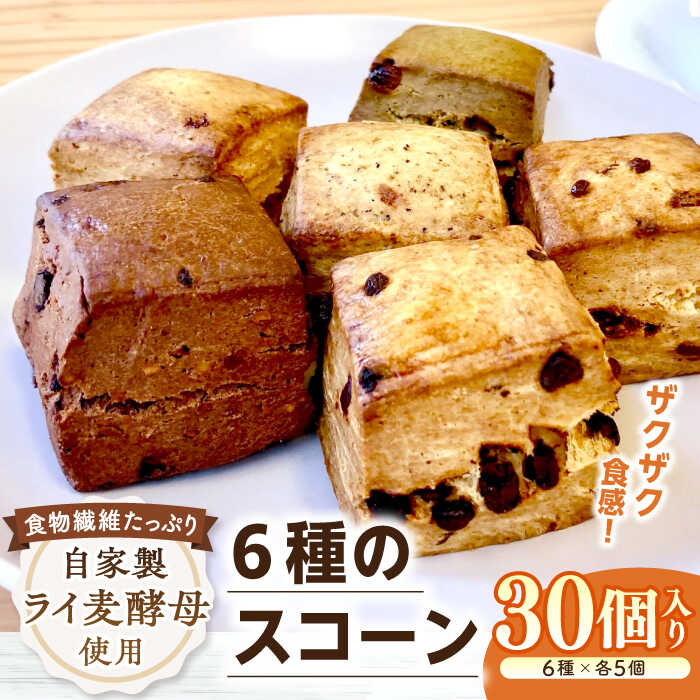 自家製酵母 人気 スコーン6種セット 30個入 長崎市/square coffee  & bake