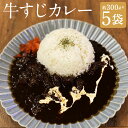 【ふるさと納税】牛すじカレー 約300g×5袋 合計約1.5kg 5人前 冷凍 パック カレー ピリ辛 牛筋 カレー レトルト 冷凍カレー 冷凍 長崎市 送料無...