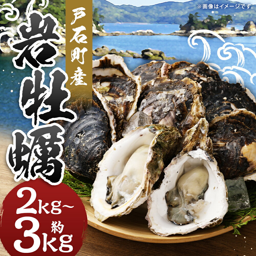 【ふるさと納税】【指定日必須】戸石町産 岩牡蠣 約2kg/約3kg 選べる内容量 生食用 殻付き カキナイフ付き カキ 牡蠣 貝 貝類 海鮮 長崎市産 九州産 冷蔵 送料無料