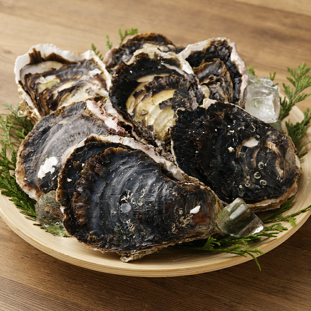 【ふるさと納税】【指定日必須】戸石町産 岩牡蠣 約2kg/約3kg 選べる内容量 生食用 殻付き カキナイフ付き カキ 牡蠣 貝 貝類 海鮮 長崎市産 九州産 冷蔵 送料無料