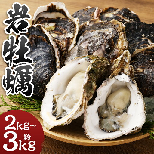 【ふるさと納税】【指定日必須】戸石町産 岩牡蠣 約2kg/約3kg 選べる内容量 生食用 殻付き カキナイフ付き カキ 牡蠣 貝 貝類 海鮮 長崎市産 九州産 冷蔵 送料無料 【ふるさと納税】【指定日必須】戸石町産 岩牡蠣 約2kg/約3kg 選べる内容量 生食用 殻付き カキナイフ付き カキ 牡蠣 貝 貝類 海鮮 長崎市産 九州産 冷蔵 送料無料