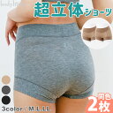【ふるさと納税】【7営業日以内発送】テンセル(TM)繊維 超立体ショーツ スタンダード丈 同色2枚セット ブラック/モカ/杢チャコール M/L/LL 選べるカラ...
