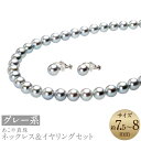 【ふるさと納税】あこや真珠(7.5-8mm珠、グレー系)ネックレス&イヤリングセット シルバー パール お手入れ用品2点セット付 冠婚葬祭 レディース ジュエリ...