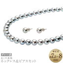 【ふるさと納税】あこや真珠(7.5-8mm珠、グレー系)ネックレス&ピアスセット シルバー K14WG ホワイトゴールド パール レディース ジュエリー アクセ...