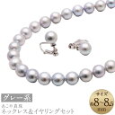 【ふるさと納税】あこや真珠(8-8.5mm珠、グレー系)ネックレス&イヤリングセット シルバー パール お手入れ用品2点セット付 冠婚葬祭 レディース ジュエリ...