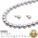 【ふるさと納税】あこや真珠(8-8.5mm珠、グレー系)ネックレス&ピアスセット シルバー K14WG ホワイトゴールド パール 冠婚葬祭 お手入れ用品2点セッ...