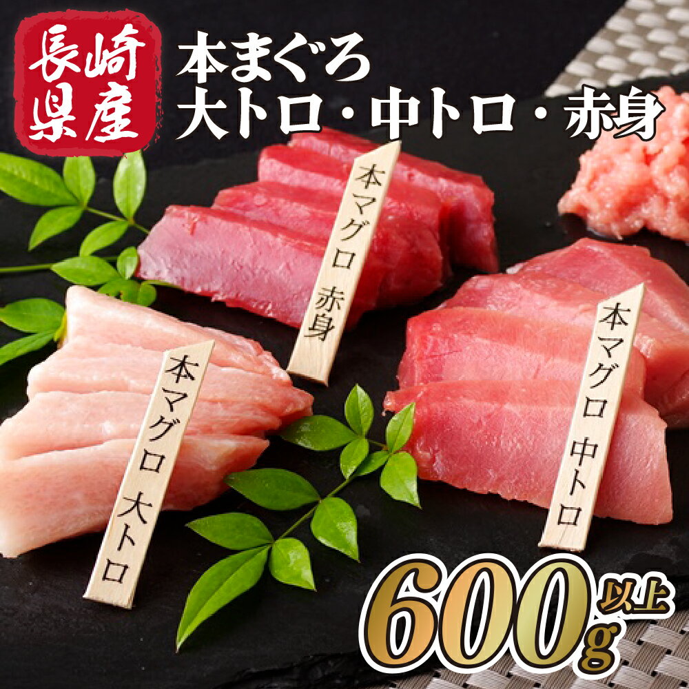 【ふるさと納税】【12/23までの寄附で年内発送】 長崎県産 本マグロ (大トロ・中トロ・赤身) 計600g以上 海鮮丼のタレ付き 年内発送 年内配送【本家永松家】 冷凍 真空パック マグロ まぐろ 鮪 大トロ 大とろ 中トロ 中とろ 赤身 セット 刺身 海鮮丼 A121p