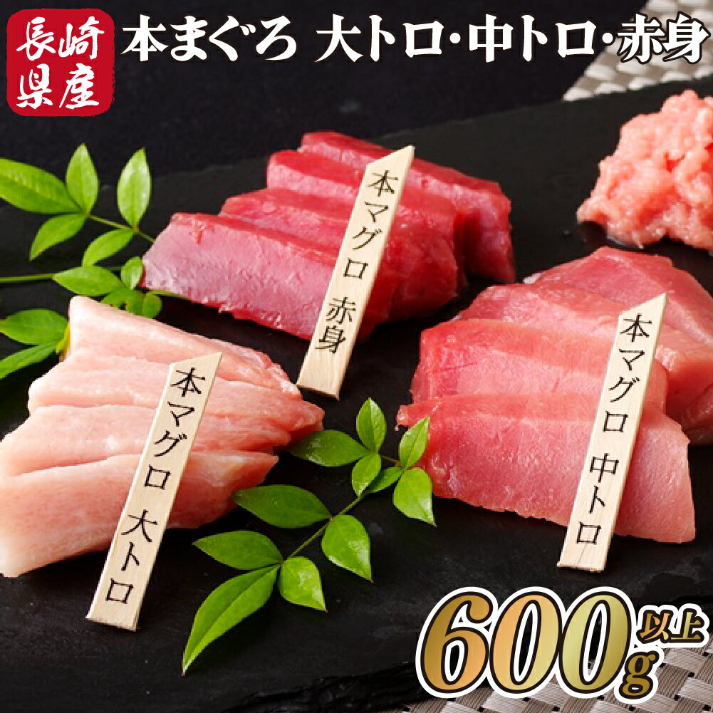 【ふるさと納税】長崎県産 本まぐろ 3種セット ( 大トロ 中トロ 赤身 ) 総計600g以上 特殊製法で臭み...