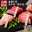 【ふるさと納税】長崎県産 本まぐろ 3種セット ( 大トロ 中トロ 赤身 ) 総計1,000g以上 特殊製法で臭みなし マグロ 中とろ 大とろ まぐろ 鮪 本マ...