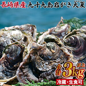 【ふるさと納税】【九十九島 岩がき 大夏 生牡蠣 10〜12個 約3kg】夏限定 濃厚な味わい 大粒 肉厚 夏かき レモン 軍手 ナイフ付き 冷蔵発送 お中元 ギフト対応 長崎県 佐世保市 期間限定