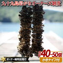 【ふるさと納税】九十九島岩がきオーナーズ制度(2025年夏お届け)