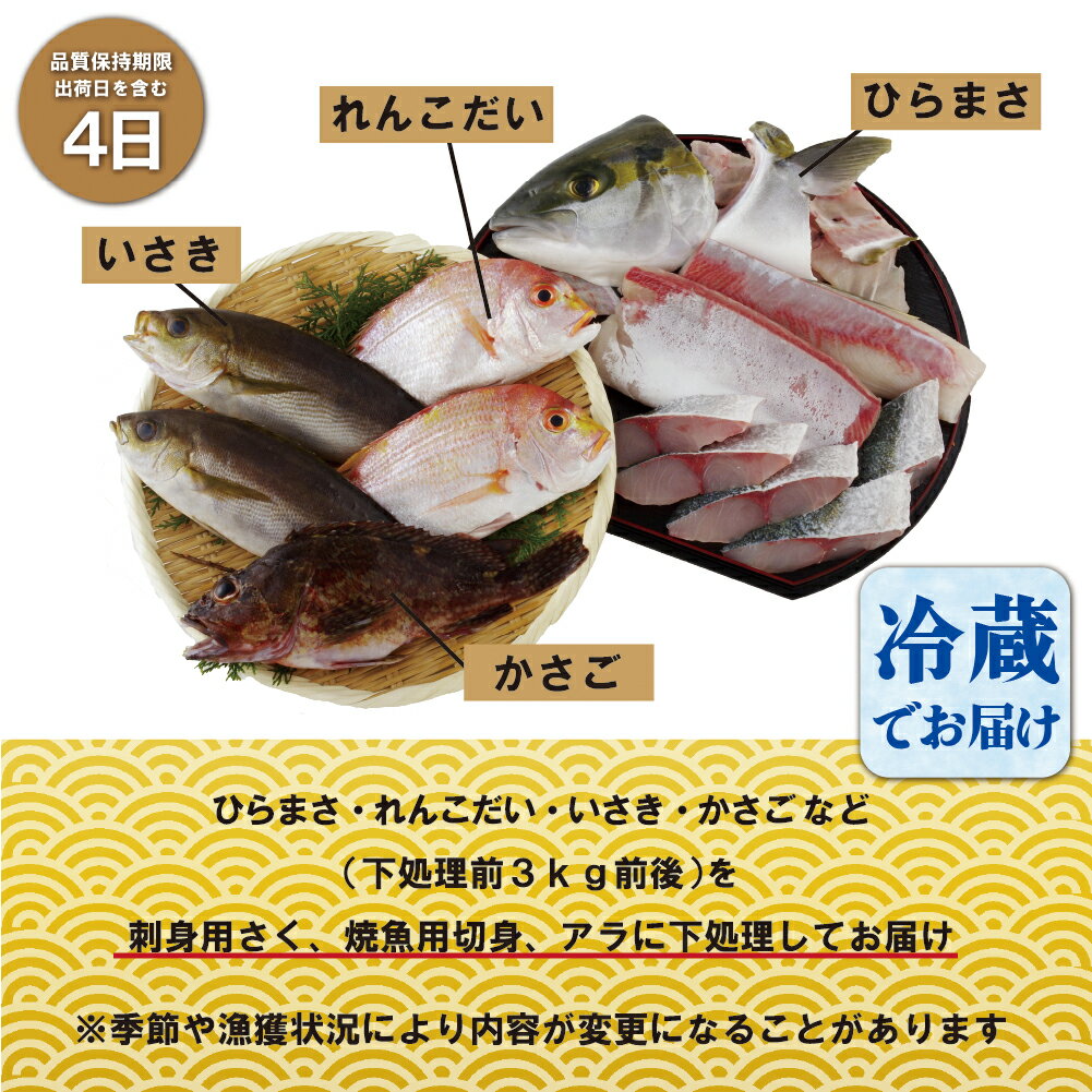 【ふるさと納税】五島列島 旬 の 地魚 大漁 セット ( 約5人前 ) 宇久島 鮮魚 ひらまさ れんこだい いさき かさご