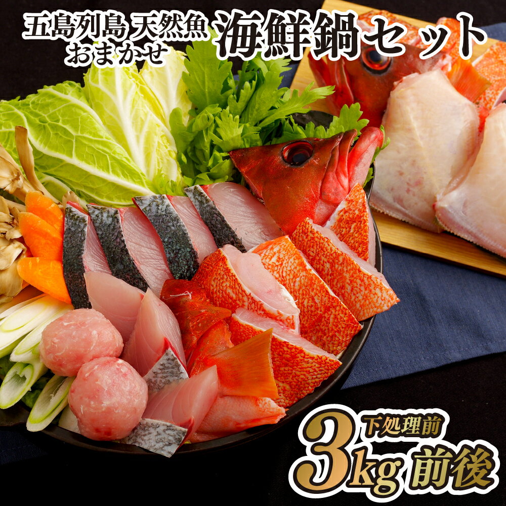 【ふるさと納税】五島列島 天然魚 おまかせ 海鮮鍋 (約5人