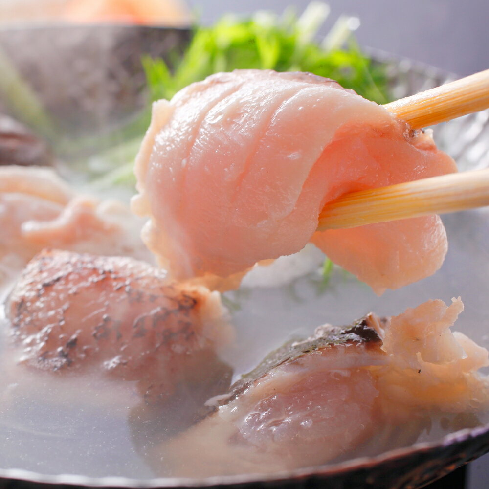 【ふるさと納税】〈よか魚〉長崎産天然クエ鍋