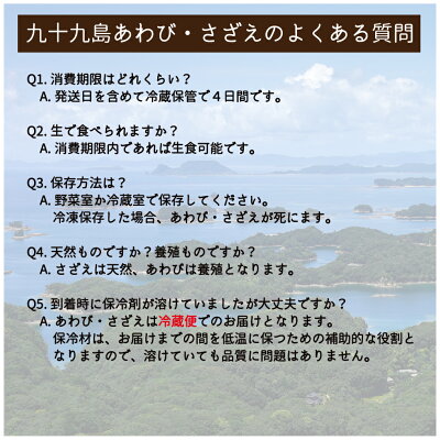 【ふるさと納税】【総量1.2~2.8kg】九十九島 あわび・さざえ セット 容量が選べる 活アワビ 活サザエ 詰め合わせ 海鮮 鮮魚 生食 刺身 バーベキュー ギフト対応 長崎県 佐世保市 - Image 3