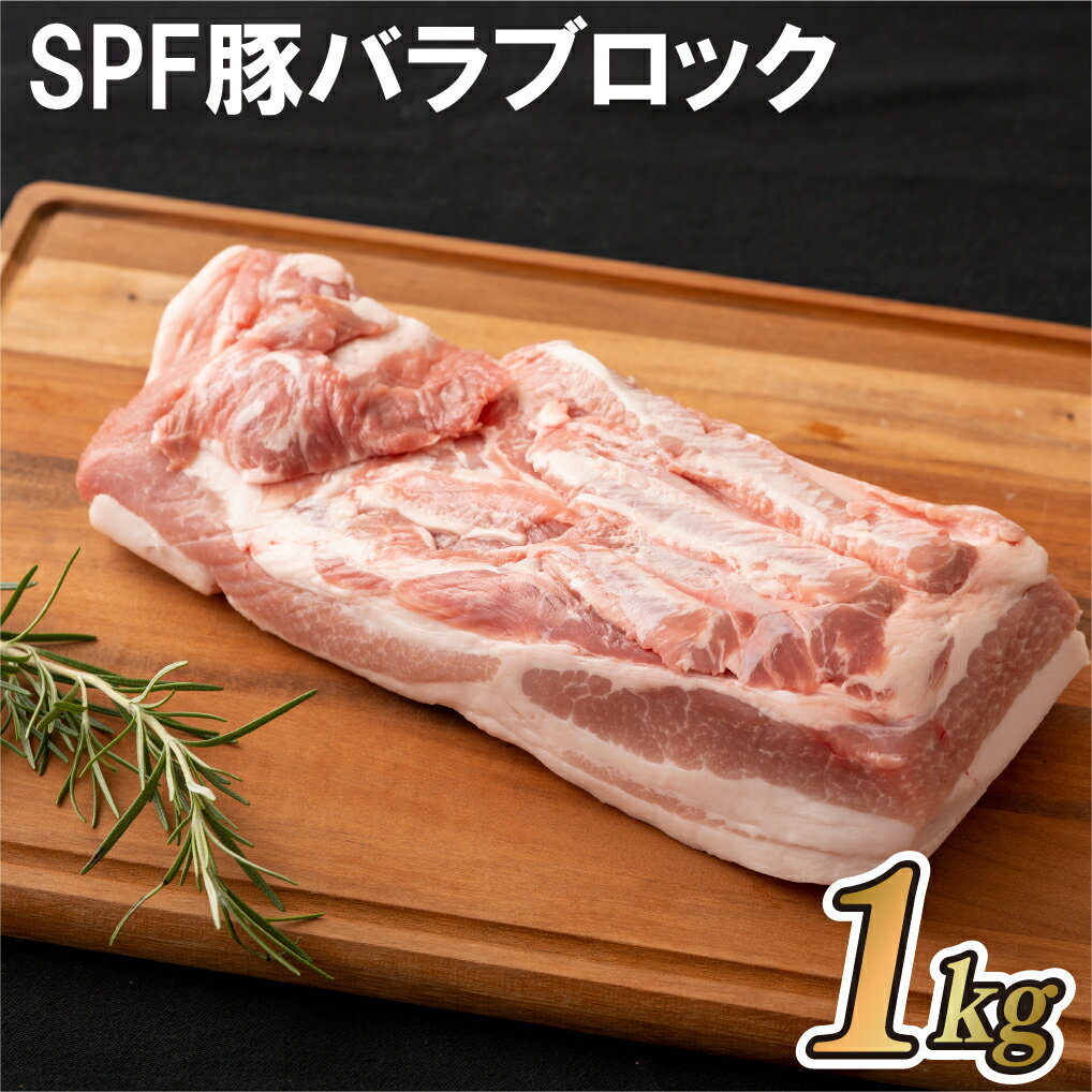 【ふるさと納税】【本格料理にぜひ】長崎県産 SPF豚 バラブロック 1kg 500g 2パック 真空冷凍 角煮 チャーシュー 煮込み料理 パンチェッタ 旨みたっぷり 安心安全 冷凍 ギフト 贈答 お中元 御…