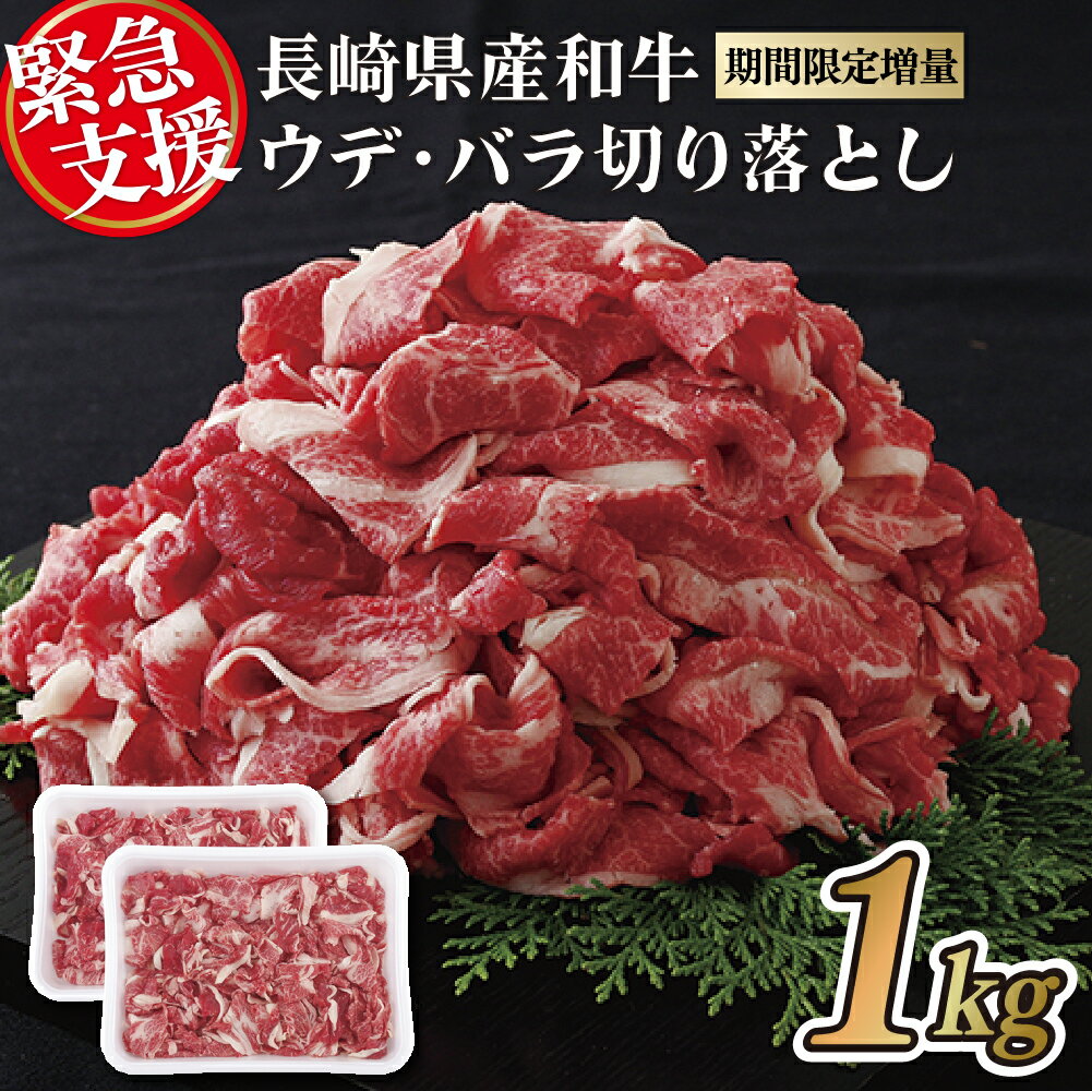 【ふるさと納税】 訳あり 数量限定 切り落とし 約1kg (500g×2パック) 牛肉 九州産 お取り寄せ お取り...