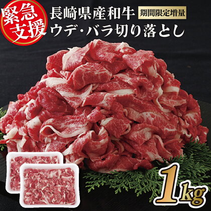 訳あり 数量限定 切り落とし 約1kg (500g×2パック) 牛肉 九州産 お取り寄せ お取り寄せグルメ すき焼き しゃぶしゃぶ 牛丼 霜降り フードロス 規格外 最高級 和牛 冷凍 送料無料