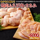 7位! 口コミ数「28件」評価「4.29」【鶏肉むね・ささみ 計6000g】ながさき福とり むね正肉 1000g×4 ささみ 500g×4 計6kg 小分けパック 長期保存可能 冷凍･･･ 