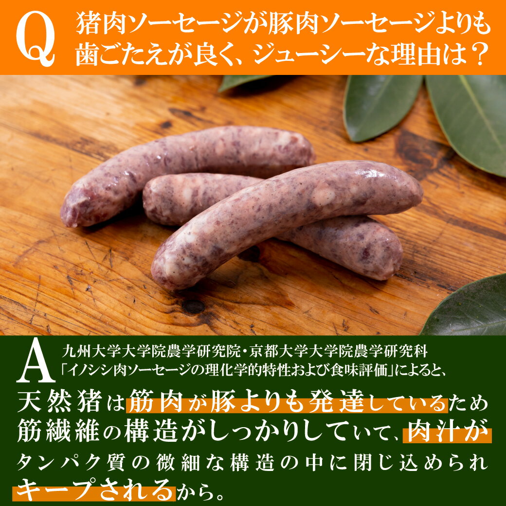 【ふるさと納税】 ジビエ 猪肉 ソーセージ セット 平戸いのしし 粗挽きソーセージ 150g×2 燻製ソーセージ 120g×2 長崎県（ 平戸市 ・ 佐世保市 ・ 松浦市 ） イノシシ肉 加工品 天然猪 ジビエ肉 いのしし肉 薬食 滋養 強壮 ヘルシー 人気 ジビエギフト