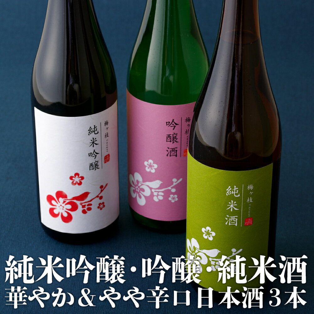 [創業230年 辛口&中口 720ml 3本] 純米吟醸 吟醸 純米酒 華やか&やや辛口 日本酒 3本 (各720ml) セット 酒袋を使って丁寧に作られた酒 女性にも人気 日本酒 宅飲み 中口 辛口 酒 地酒 清酒 長崎 九州 のし お中元 御中元 お歳暮 御歳暮 送料無料