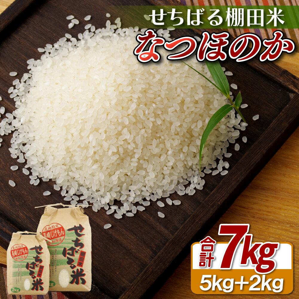 【ふるさと納税】せちばる棚田米なつほのか(7kg) 常温のサムネイル