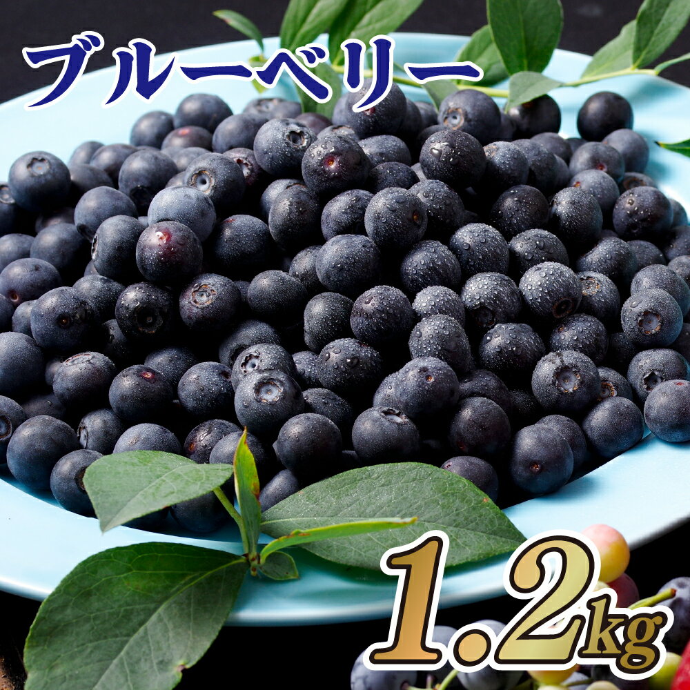 【ふるさと納税】 冷凍 ブルーベリー あいあいの雫 1,200g フルーツ ギフト 果物 人気 プレゼント 即...