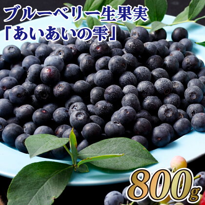 ブルーベリー生果実「あいあいの雫」800g