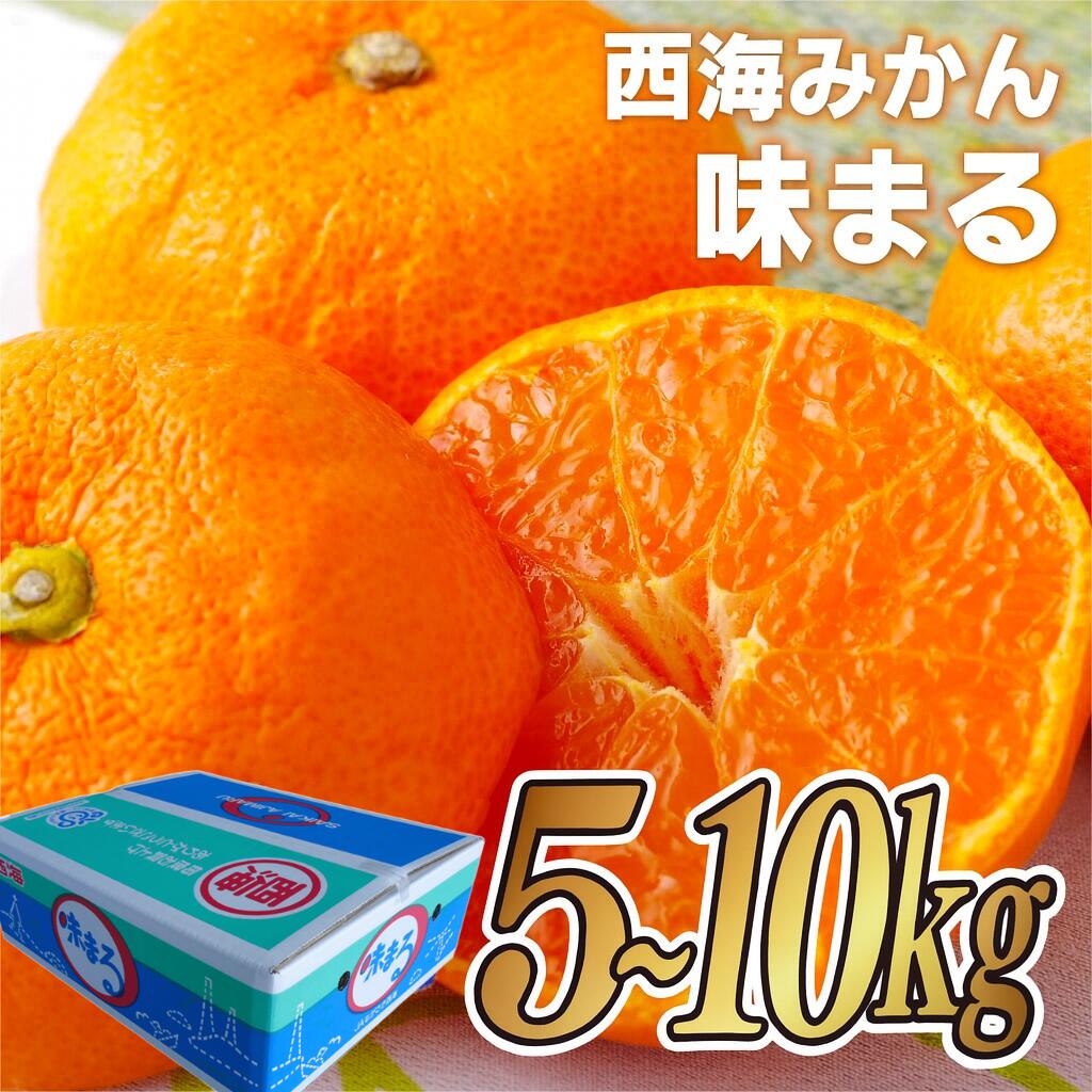 【ふるさと納税】 【先行予約・選べる容量】西海みかん 味まる 5kg 10kg 糖度12度以上 佐世保 長崎 ミカン 旬 甘い 家庭用 自宅用 送料無料 長崎県産 常温 ブランドみかん みかんのサムネイル